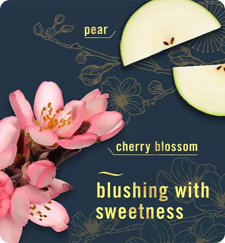 Febreze AIR Japanese Cherry Blossom