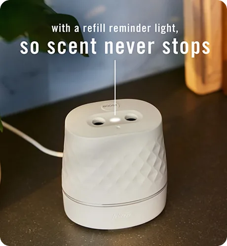Febreze PLUG Scent Booster Refresh & Energize