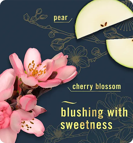 Febreze PLUG Japanese Cherry Blossom