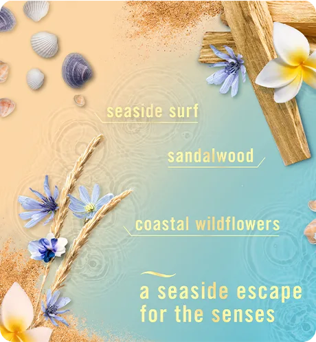 Febreze PLUG Warm Ocean Breeze