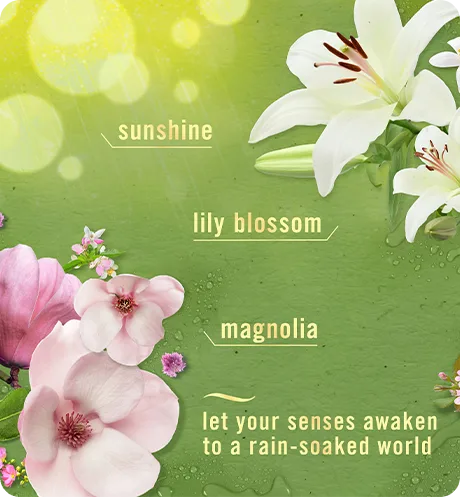 Febreze PLUG Morning Spring Showers